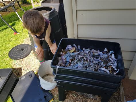 worm bin bedding humidity